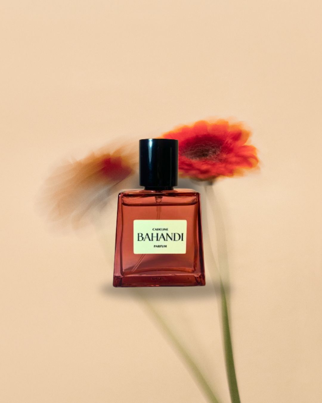 Bahandi by Cadeline — A fruity, romantic fragrance made in Cebu, blending sweet tropical notes and classic elegance for women who radiate joy and sophistication.
