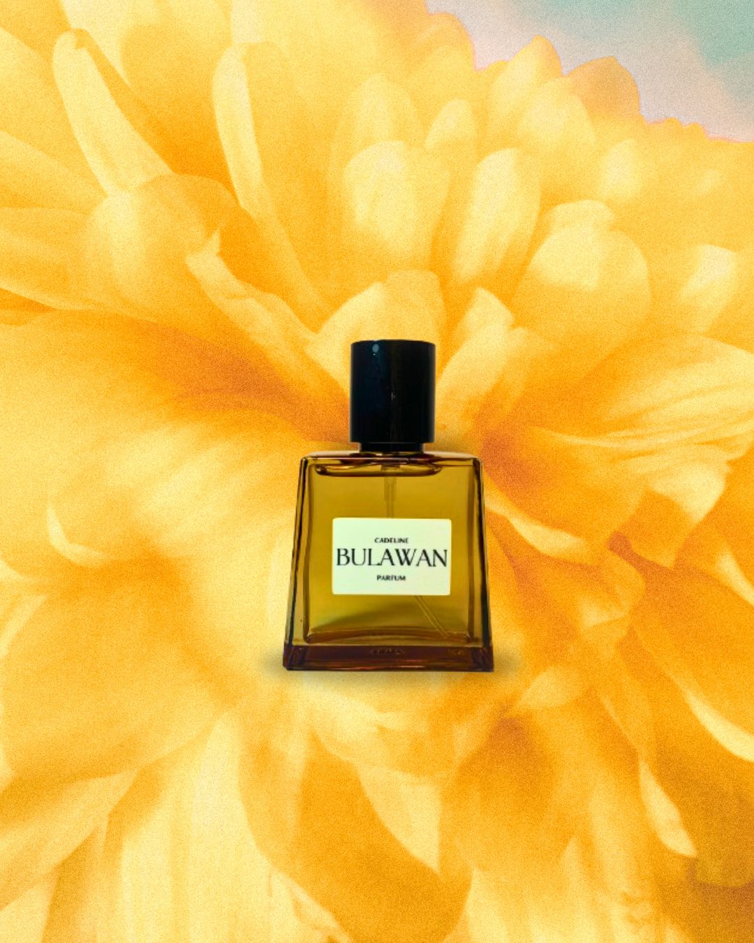 Bulawan by Cadeline — Cebu-crafted floral fragrance inspired by golden sunsets and luminous feminine strength, mixing light dance rhythms with timeless elegance.