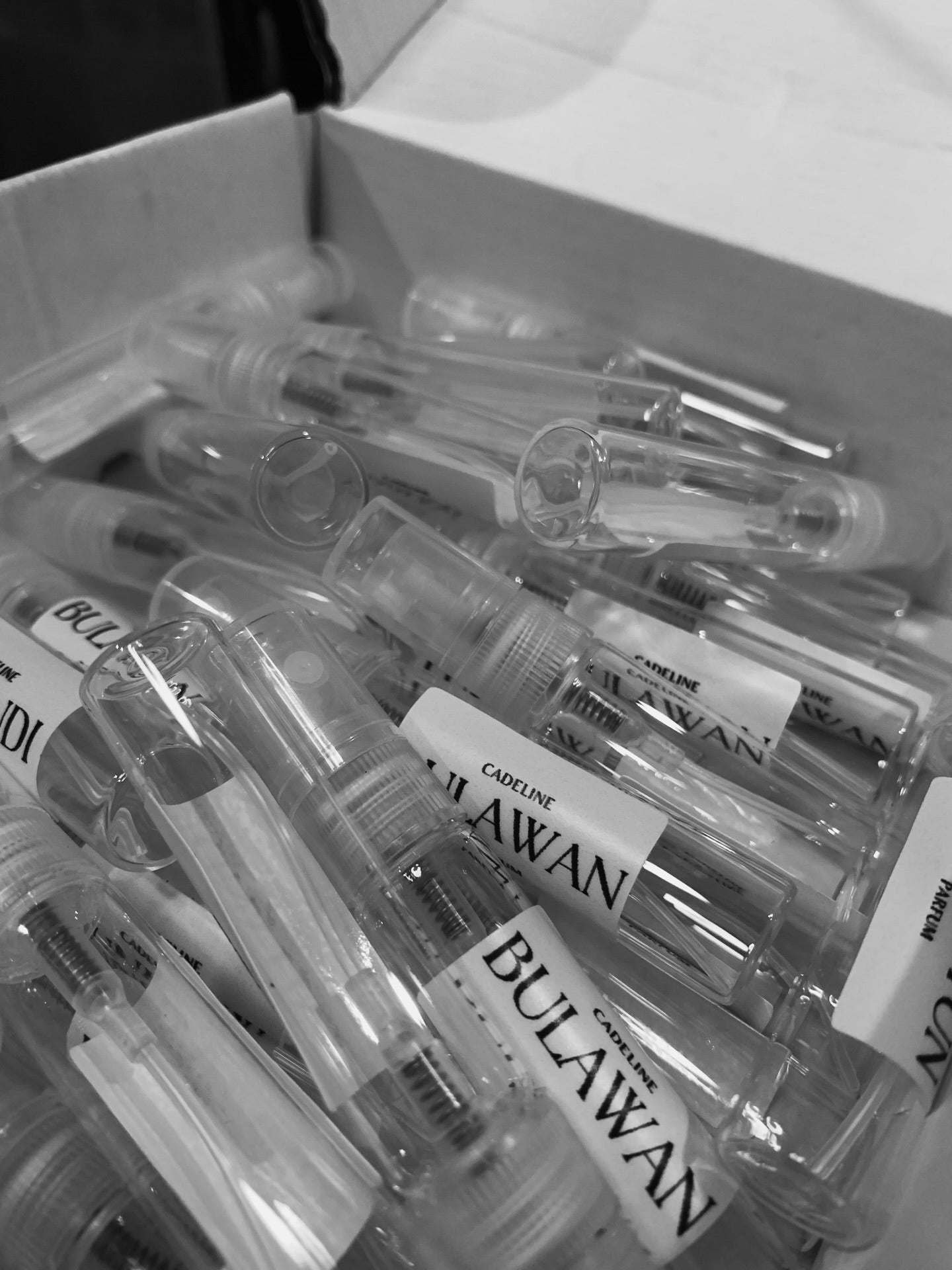 Cadeline Discovery Set | 5ml (5 scents)